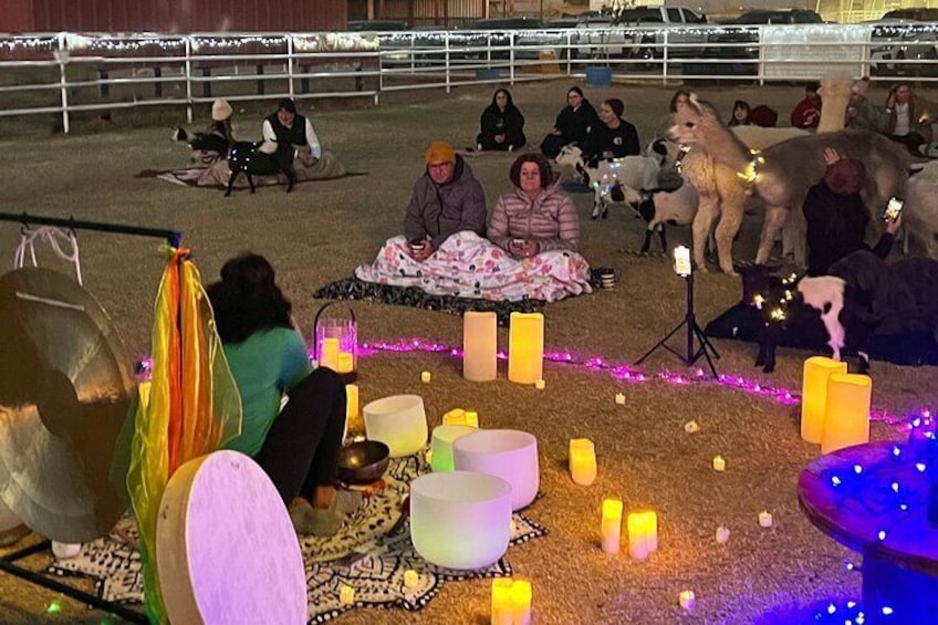  Goat and Alpaca Sound Bath - Gilbert Arizona