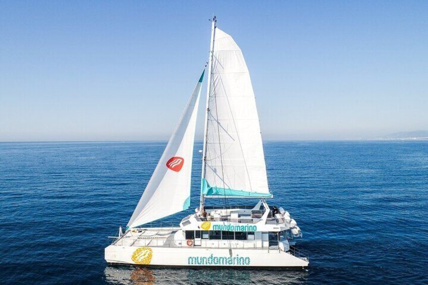 3-Hours Catamaran Tour in Malaga with Paella