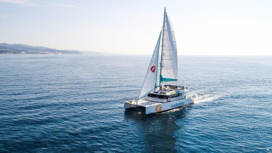 3-Hours Catamaran Tour in Malaga with Paella