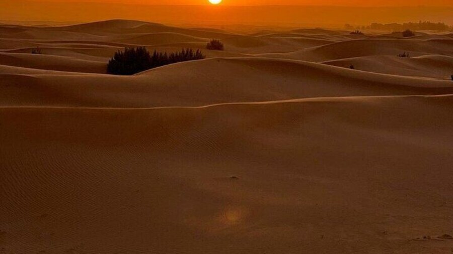 Luxury Sahara Desert From Fez back to fez or marrakech overnight