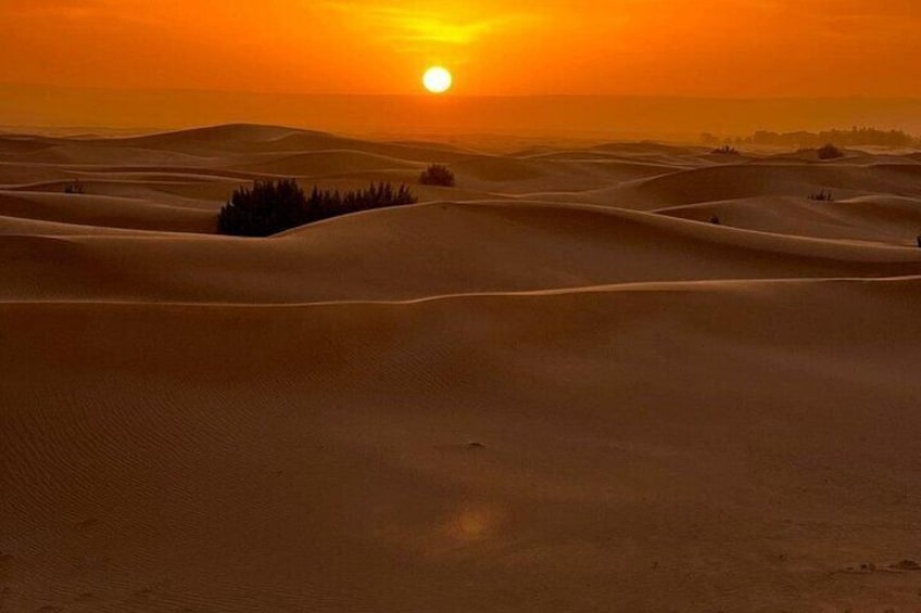 Luxury Sahara Desert From Fez back to fez or marrakech overnight 