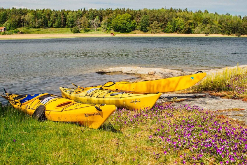 Picture 5 for Activity Stockholm: Archipelago Family-Friendly Private Kayaking Tour