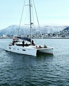 トロムソ豪華カタマランで行く北極圏フィヨルド観光クルーズ