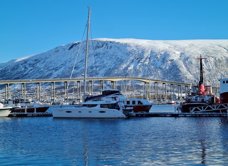 Tromsø: Arctic Fjord Catamaran Cruise