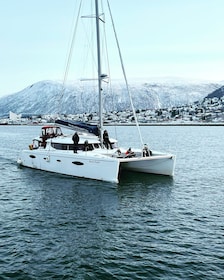 Tromsø: Crociera turistica nel fiordo artico in catamarano di lusso