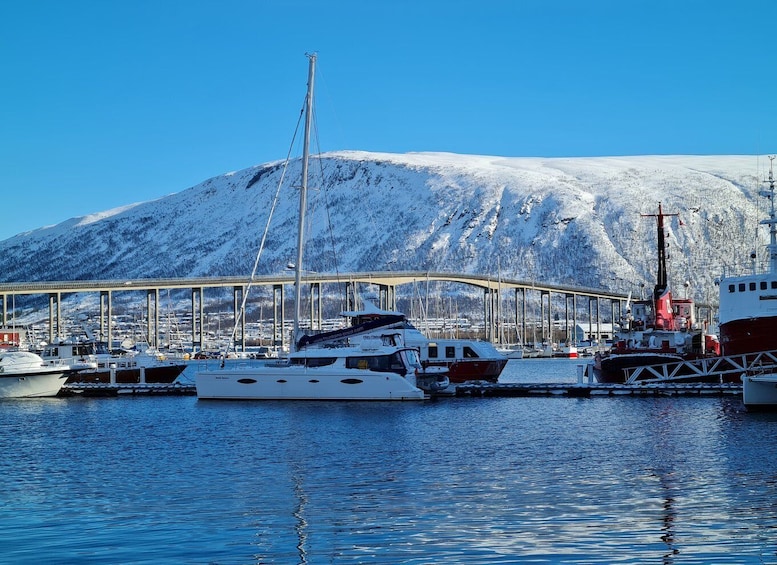 Picture 2 for Activity Tromsø: Arctic Fjord Sightseeing Cruise in Luxury Catamaran