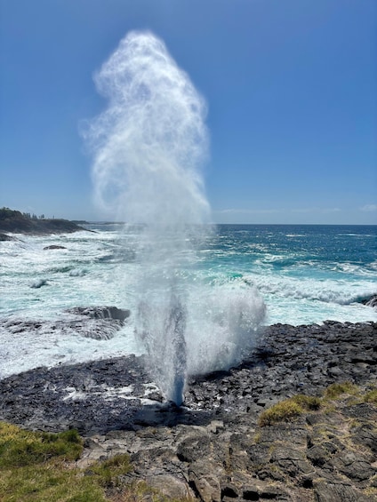 Picture 8 for Activity Sydney: Southern Highlands and South Coast Private Tour