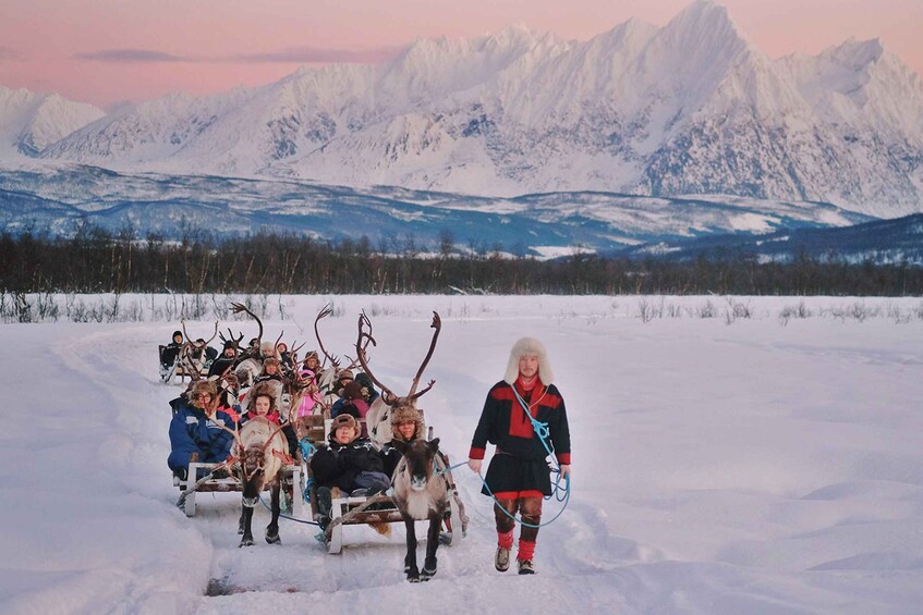 Picture 1 for Activity Tromsø: Sámi Reindeer Sledding and Sami Cultural Tour