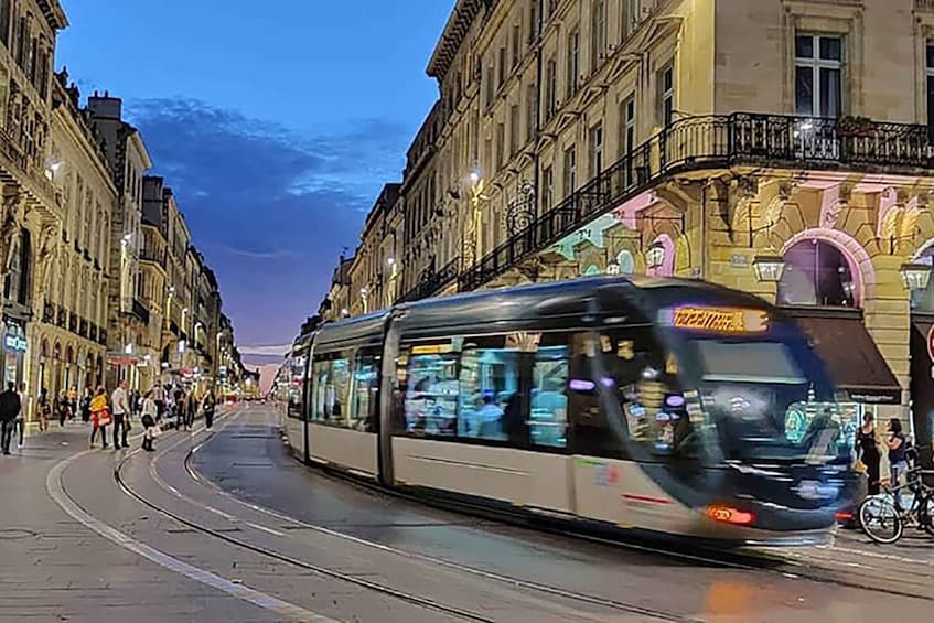 Picture 1 for Activity Bordeaux: Private Guided Walking Tour & Cite du Vin