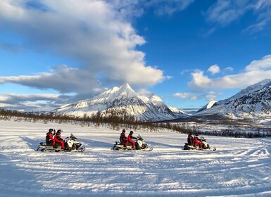 De Tromsø : Safari en motoneige dans les Alpes de Lyngen