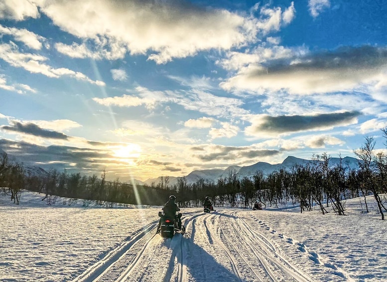 Picture 9 for Activity From Tromsø: Snowmobile Safari in the Lyngen Alps