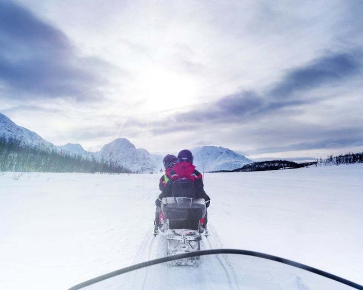 Picture 8 for Activity From Tromsø: Snowmobile Safari in the Lyngen Alps