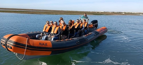 From Faro: Dolphin-Watching & Wildlife