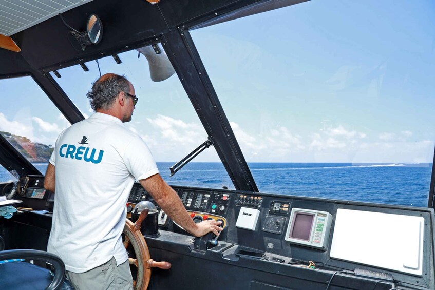 Picture 5 for Activity Santa Ponta/Peguera: Dragonera Island Cruise with Swim Stop