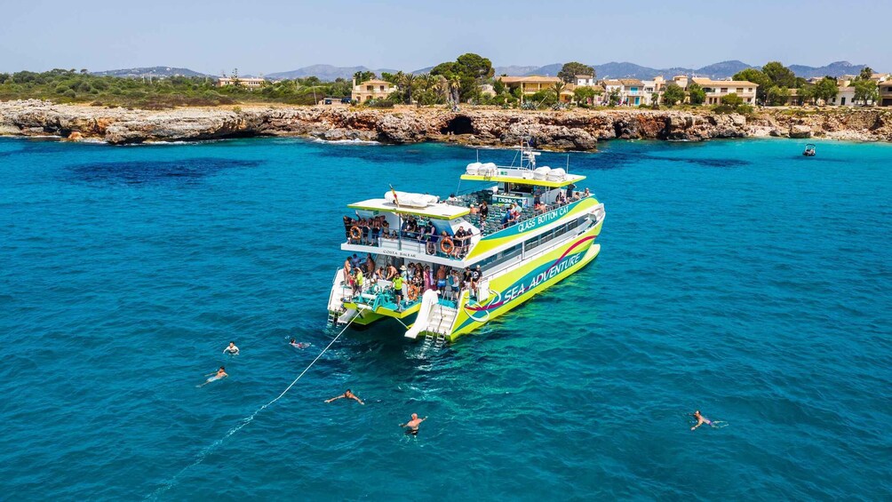 Picture 3 for Activity From Porto Cristo: East Coast Glass-Bottom Boat Trip