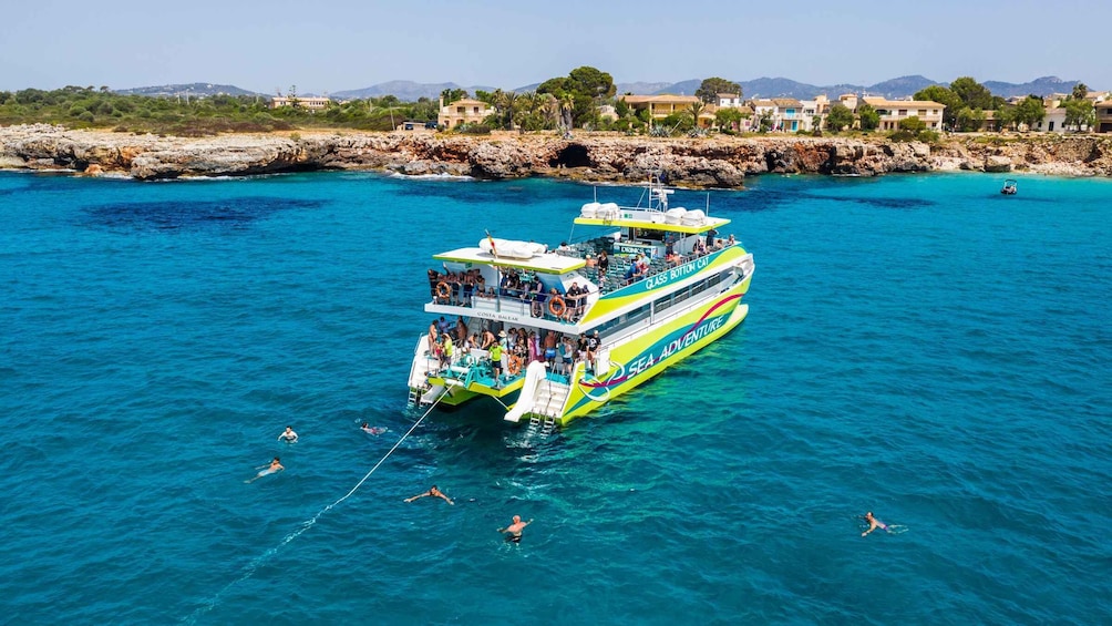 Picture 3 for Activity From Porto Cristo: East Coast Glass-Bottom Boat Trip