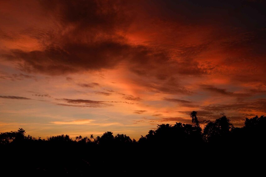 Picture 3 for Activity Mount Batur Sunrise Trek & Hot Springs Tour