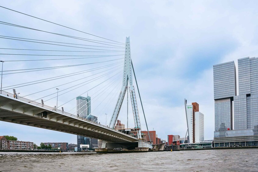 Picture 1 for Activity Rotterdam: RIB Speedboat Sightseeing Cruise