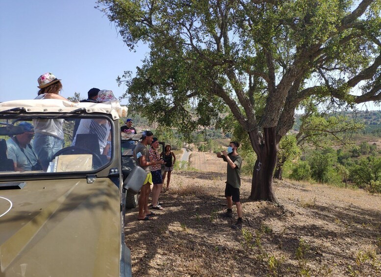 Picture 4 for Activity from Albufeira: Algarve Sunset Jeep Safari with Wine