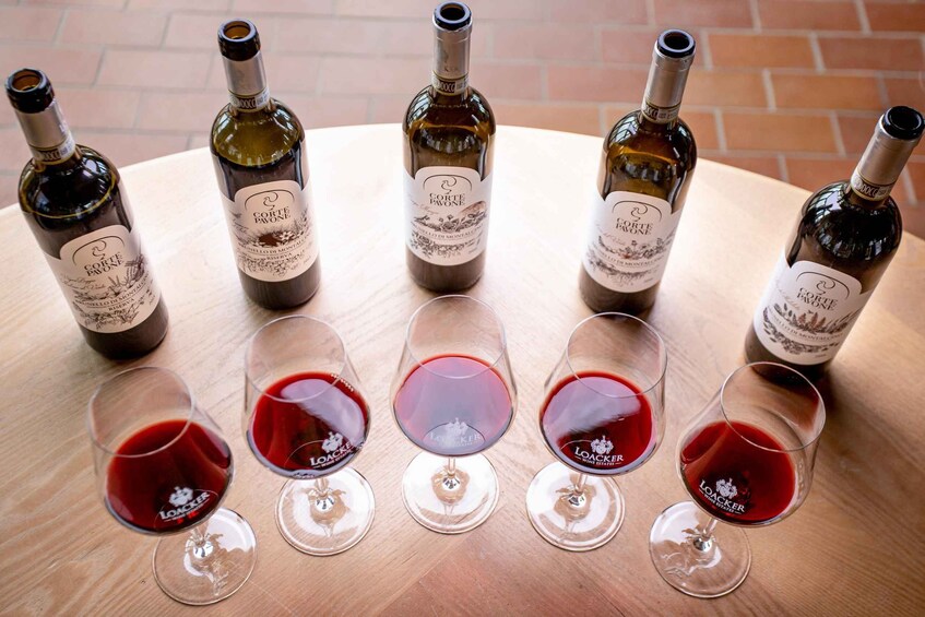Picture 2 for Activity Montalcino: Winery Tour & Gourmet Brunello Vertical Tasting