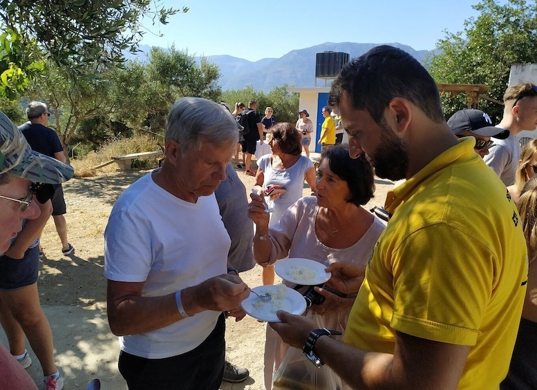 Picture 15 for Activity Crete: Sightseeing Day Trip with Cooking Lesson and Lunch