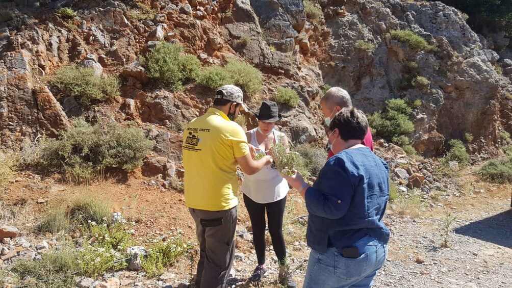 Picture 14 for Activity Crete: Sightseeing Day Trip with Cooking Lesson and Lunch