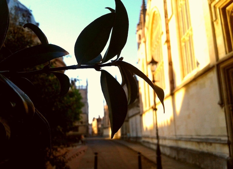 Picture 8 for Activity Oxford: Pre-Raphaelite Walking Tour with Exeter College