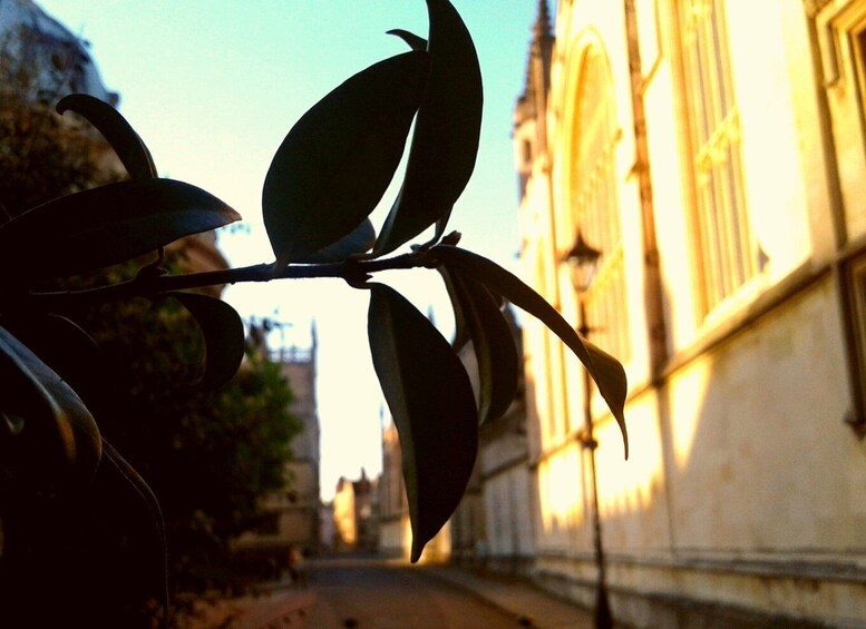 Picture 8 for Activity Oxford: Pre-Raphaelite Walking Tour with Exeter College