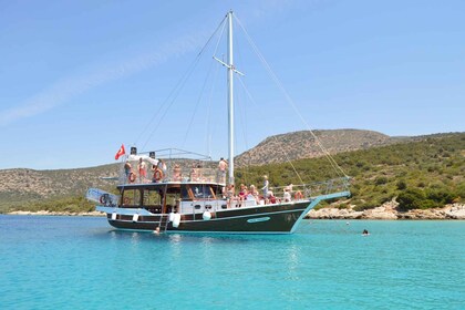 Bodrum : Orak ou Black Island Boat excursion avec déjeuner