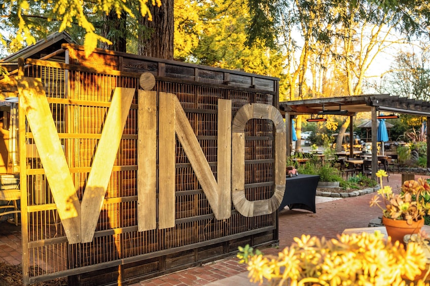 3-in-1 Muir Coastal Redwoods & Wine Country