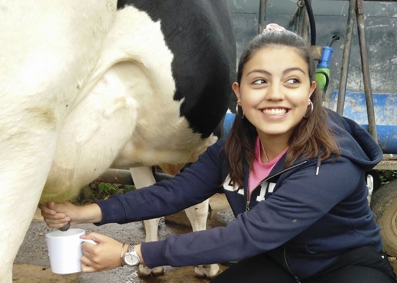 Picture 7 for Activity Dairy farm Visit and Cow Milking Experience in Azores