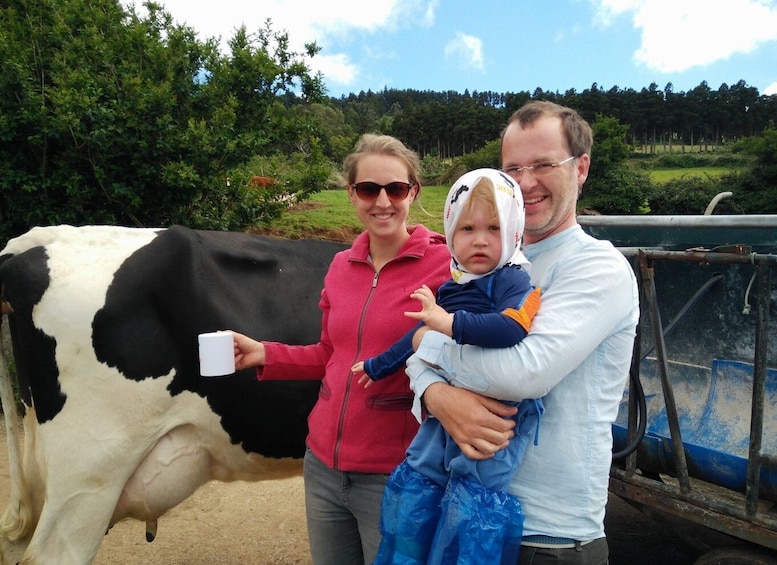 Picture 4 for Activity Dairy farm Visit and Cow Milking Experience in Azores