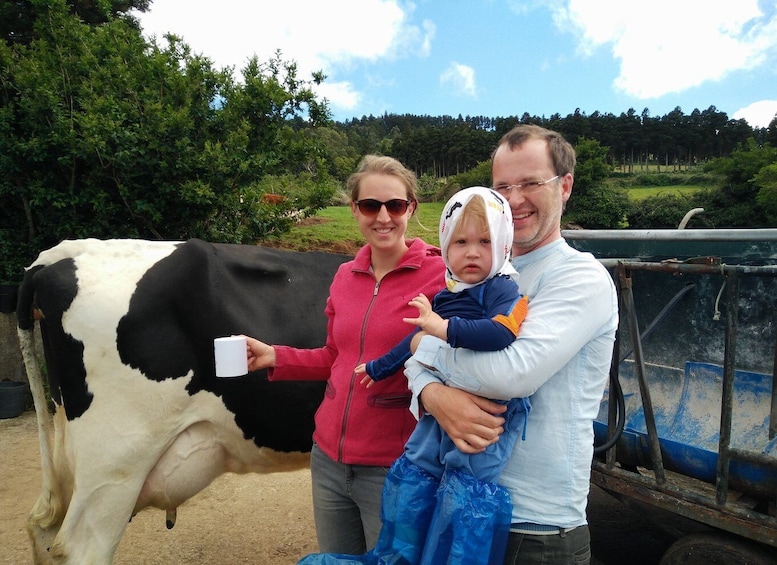 Picture 4 for Activity Dairy farm Visit and Cow Milking Experience in Azores