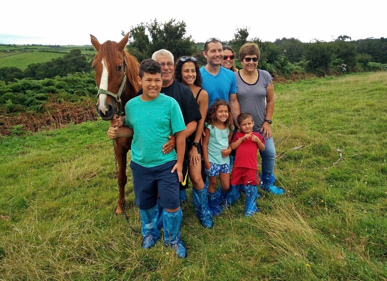 Picture 8 for Activity Dairy farm Visit and Cow Milking Experience in Azores