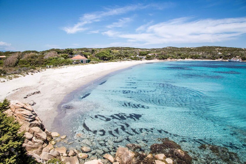 Picture 2 for Activity From Palau or La Maddalena: Archipelago Sailing Ship Tour