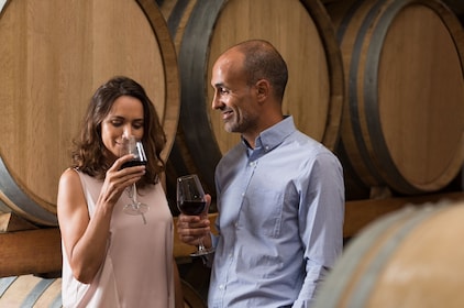 Half Day Wine Country Experience (Tasting fees included) 