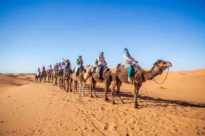 Från Fez: 2-dagars Marrakech via Merzouga Desert Tour