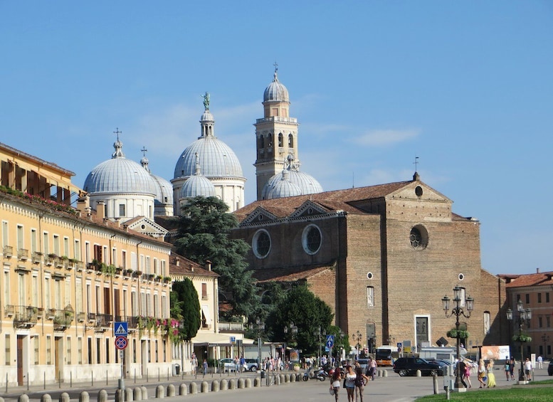 Picture 5 for Activity Padua: Private City Walking Tour & Scrovegni's Chapel Visit