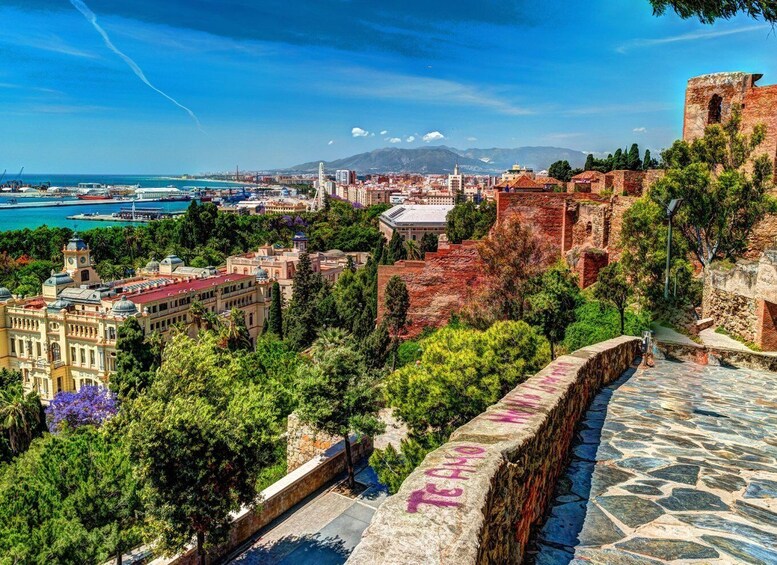 Picture 5 for Activity From Seville: Malaga Private Tour with Alcazaba Entry Ticket