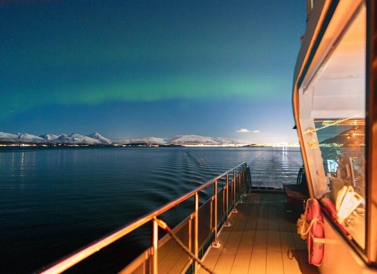 Picture 4 for Activity Svolvær: Northern Lights and Full Steam Cruise with Tasting