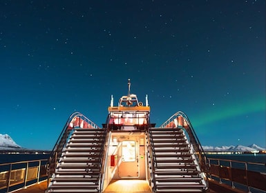 Svolvær: Northern Lights and Full Steam Cruise with Tasting