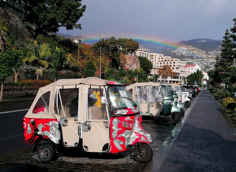 Picture 4 for Activity Funchal: Monte Tuk Tuk Tour to the Toboggans