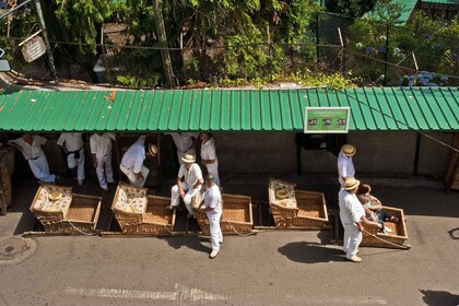 Funchal: Monte Tuk Tuk-tur til Tobogganene