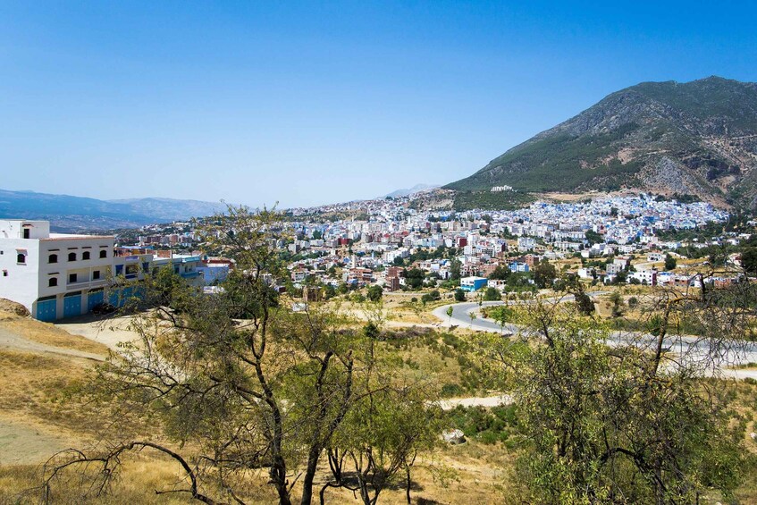 Picture 4 for Activity From Fez: Chefchaouen Day Trip with Hotel Pickup