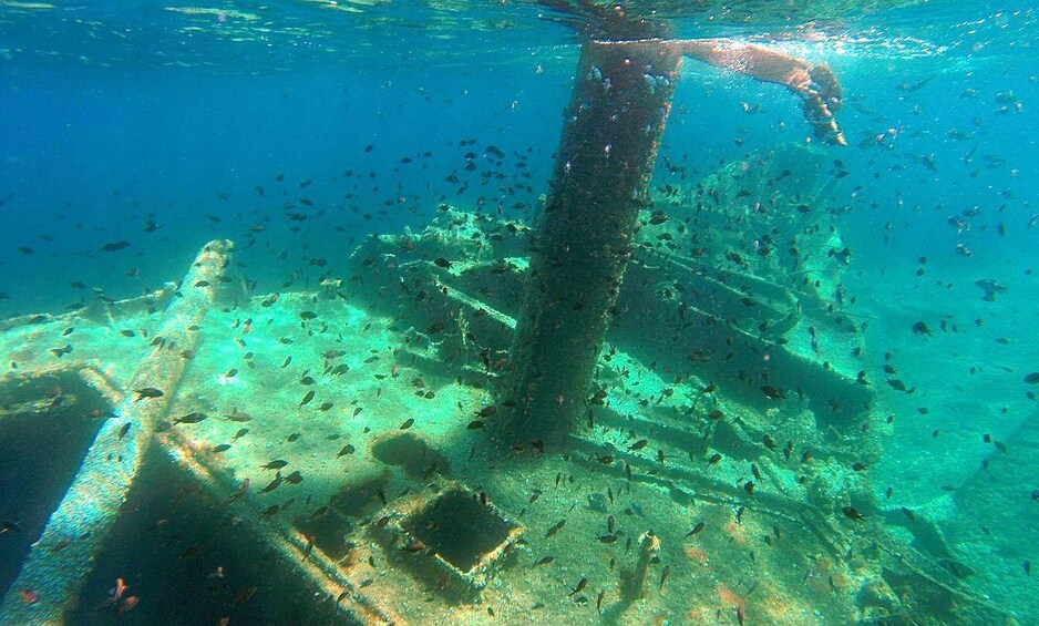 Picture 16 for Activity Zadar: Sakarun Bay, Golubinka Cave & Veli Žal Speedboat Tour