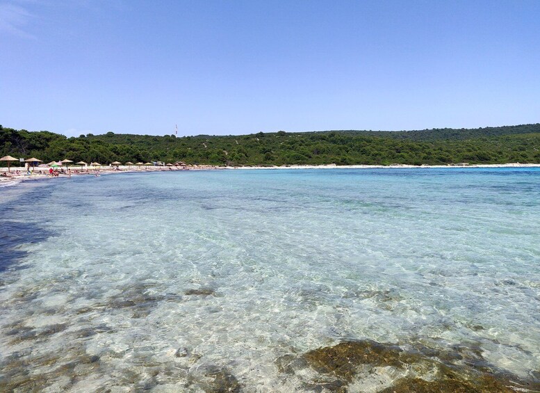 Picture 21 for Activity Zadar: Sakarun Bay, Golubinka Cave & Veli Žal Speedboat Tour