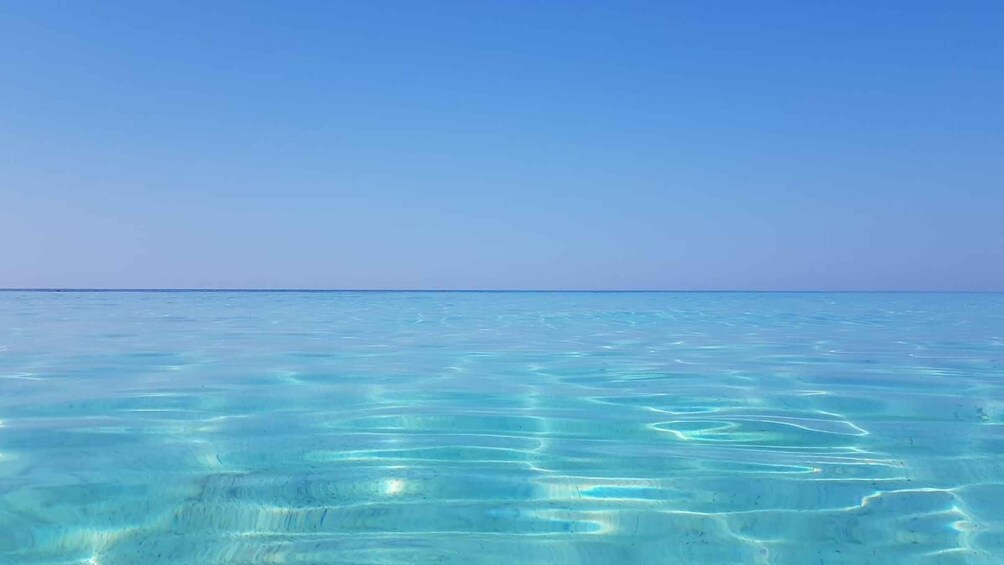 Picture 3 for Activity Zadar: Sakarun Bay, Golubinka Cave & Veli Žal Speedboat Tour