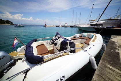 Zadar: Geführte Schnellboottour nach Ugljan, Osljak und Galevac