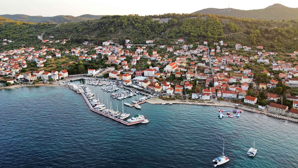 Picture 13 for Activity Zadar: Guided Tour to Ugljan, Osljak & Galevac by Speedboat