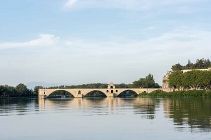 Avignon, Saint-Rémy-de-Provence, Les Baux et Pont du Gard